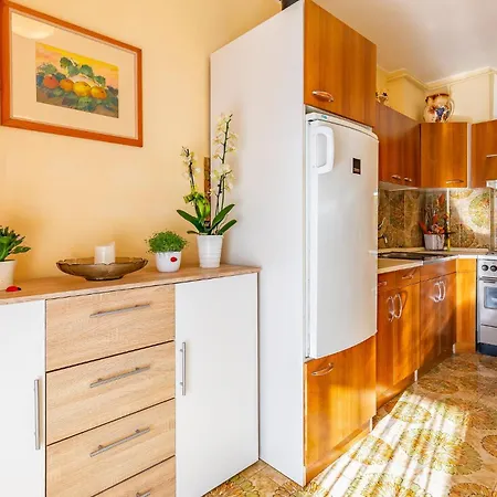 Apartment Lovely In With Kitchen *